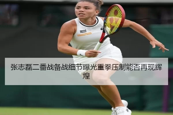 张志磊二番战备战细节曝光重拳压制能否再现辉煌